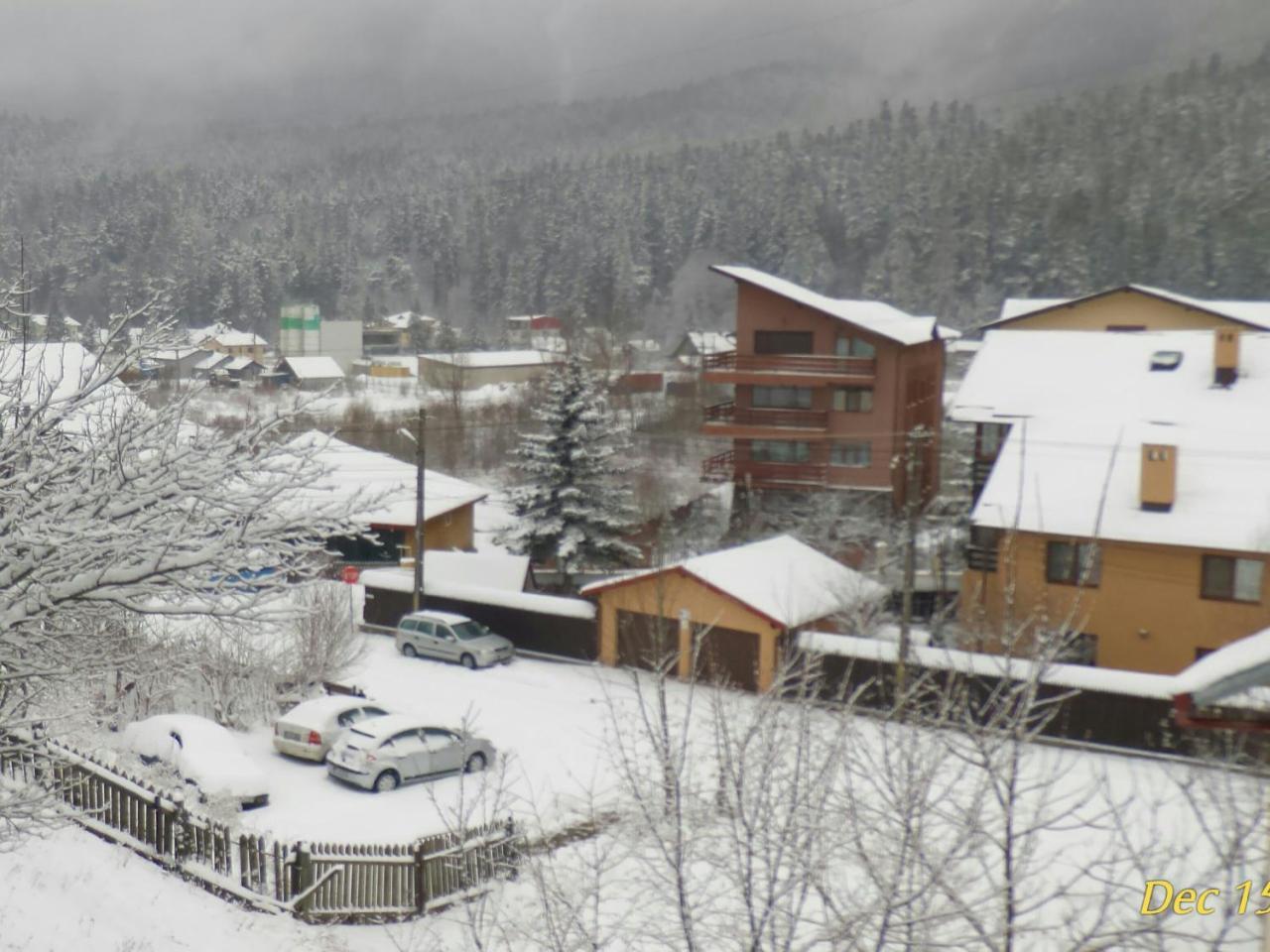 Casa Zura Otel Buşteni Dış mekan fotoğraf