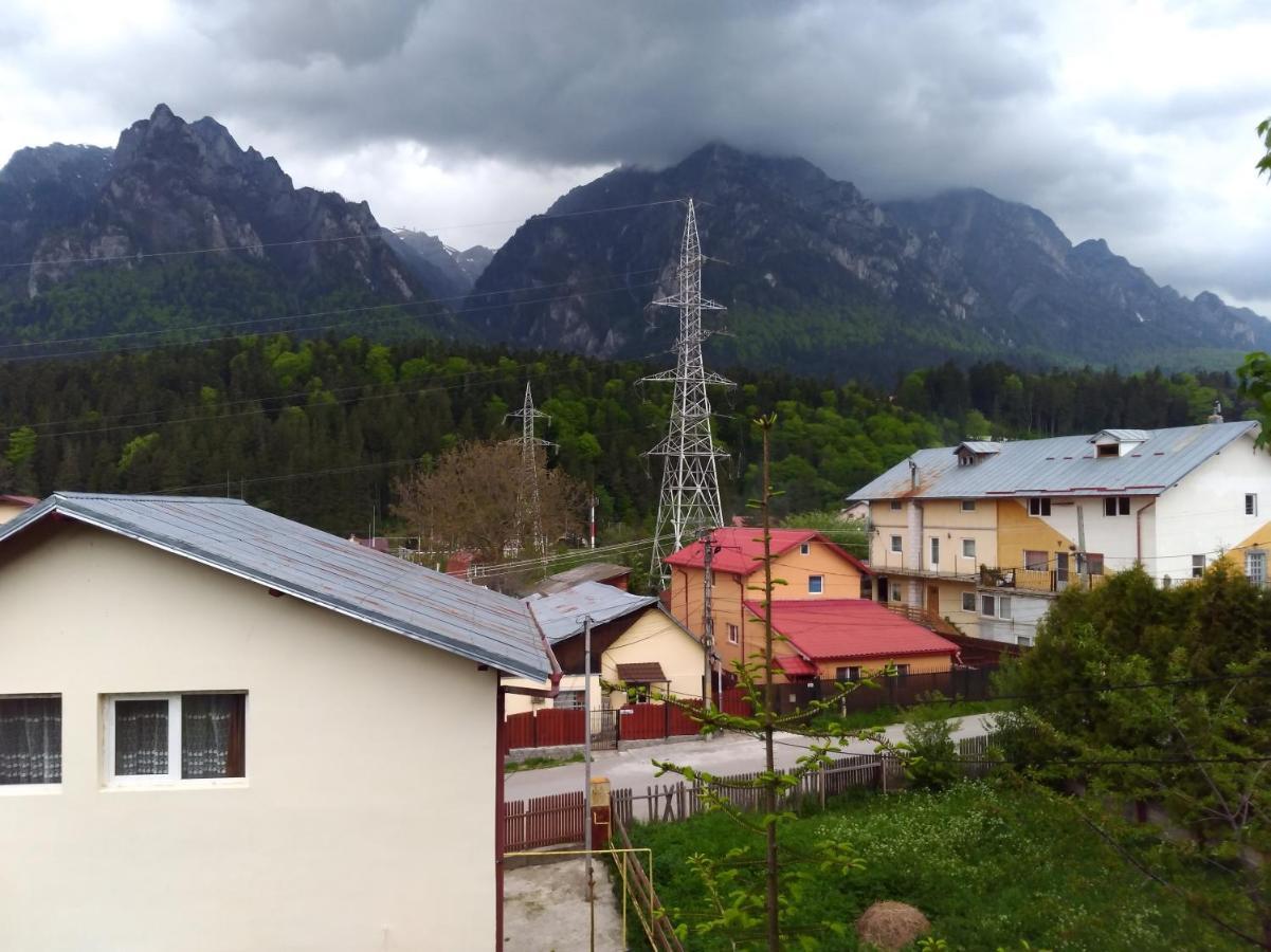 Casa Zura Otel Buşteni Dış mekan fotoğraf